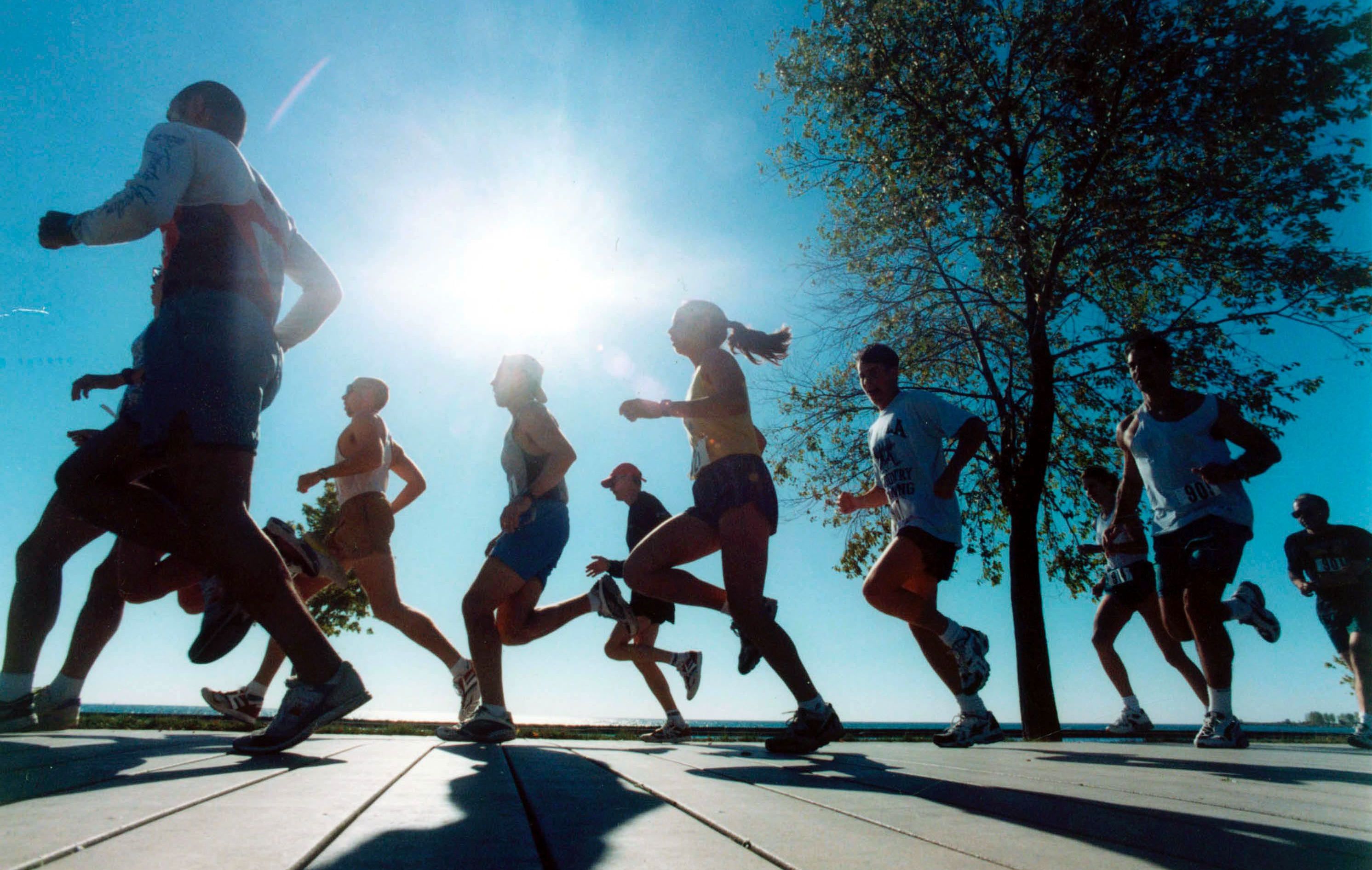 Les Sports Stade Auxerrois Omnisport