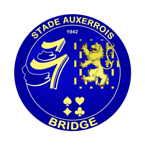 LOGOS_MAILLOTS_BRIDGE_page-0001-removebg-preview