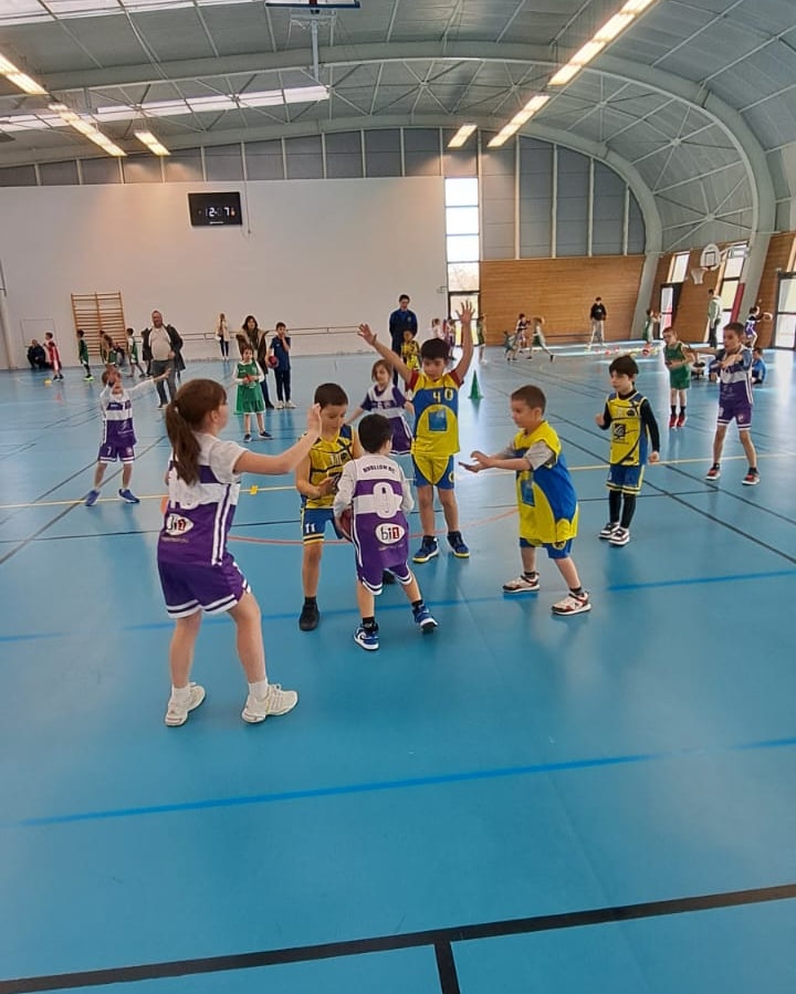 BasketBall Stade Auxerrois