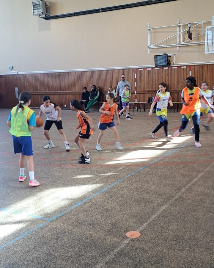 BasketBall Stade Auxerrois